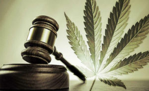 Legal Marijuana