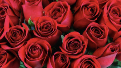 Valentines Day in Perth Amboy