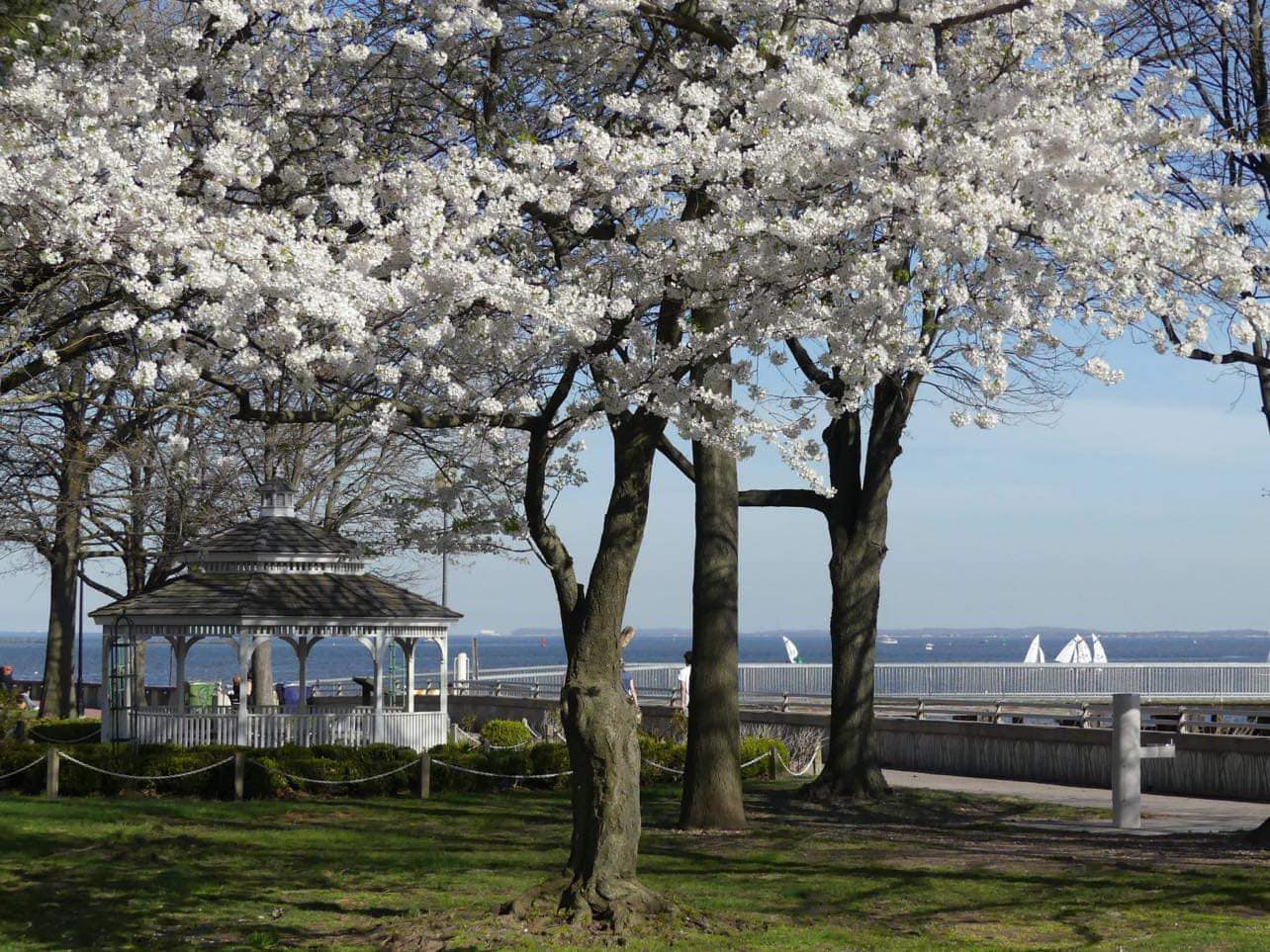 Spring in Perth Amboy