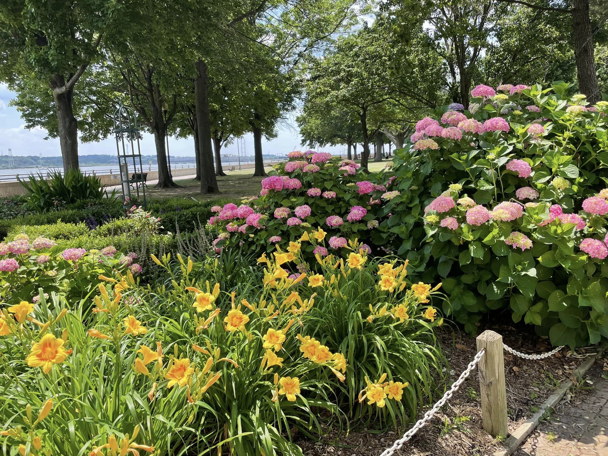 Perth Amboy Hummingbird Garden