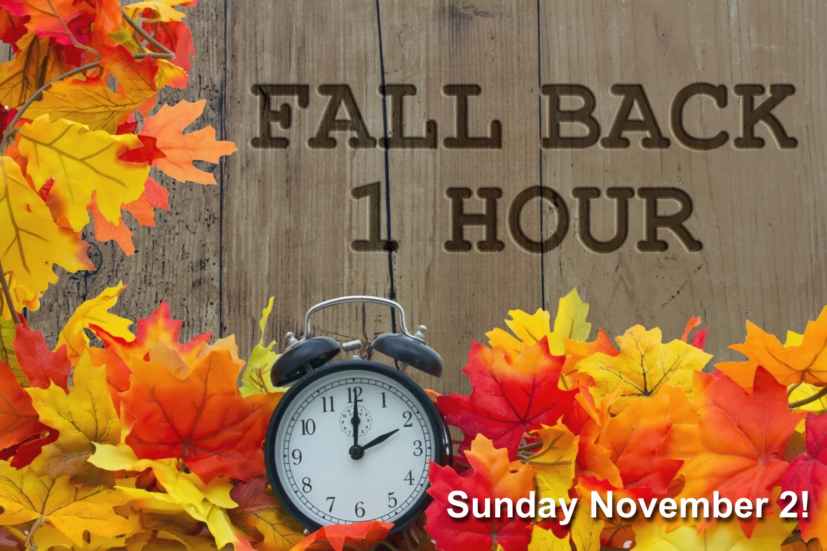 Fall Back